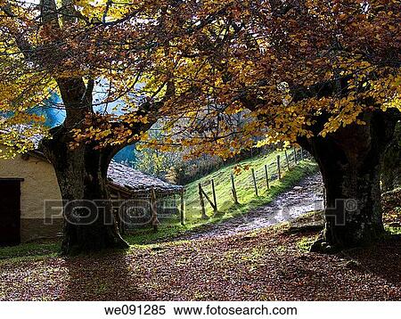 Gorbea Natural Park. Alava. Basque Country. Spain. View Large Photo Image Stock Photography - Gorbea Natural Park. Alava. Basque Country. Spain.. Fotosearch