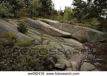 Gorham Mountain Trail, Acadia Nat Park, ME View Large Photo Image Stock Photograph - Gorham Mountain Trail, Acadia Nat Park, ME. Fotosearch