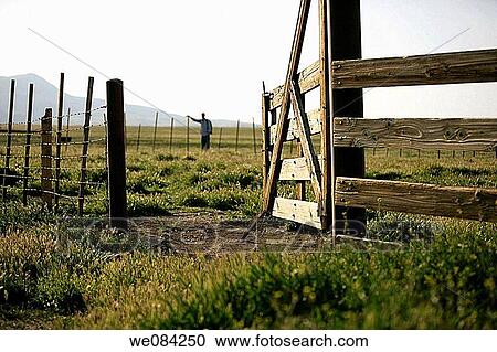 GRASS ALONG RANCH FENCE View Large Photo Image Stock Image - GRASS ALONG RANCH FENCE. Fotosearch