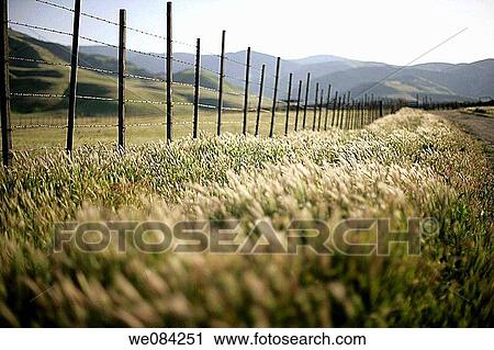 Stock Image - GRASS ALONG RANCH FENCE. Fotosearch