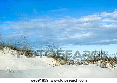 Stock Photo - Grassy sand dune ridge with beautiful blue sky. Fotosearch
