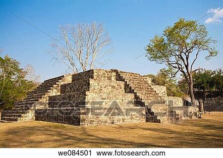 Great Plaza, Mayan ruins of Copan, Honduras View Large Photo Image Stock Image - Great Plaza, Mayan ruins of Copan, Honduras. Fotosearch