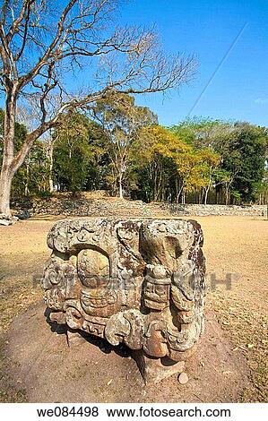 Great Plaza, Mayan ruins of Copan, Honduras View Large Photo Image Stock Photo - Great Plaza, Mayan ruins of Copan, Honduras. Fotosearch