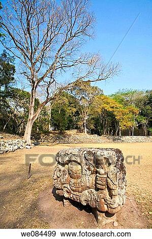 Great Plaza, Mayan ruins of Copan, Honduras View Large Photo Image Stock Photo - Great Plaza, Mayan ruins of Copan, Honduras. Fotosearch