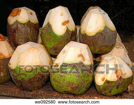 Green coconuts at a market stall, Accra, Ghana View Large Photo Image Stock Image - Green coconuts at a market stall, Accra, Ghana. Fotosearch
