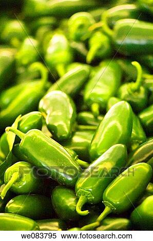 Stock Photography - Green Jalapeno Peppers on Sale on Farmers Market. Capsicum annuum. July 2007, Maryland, USA. Fotosearch