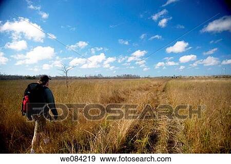HIKER IN EVERGLADES FLORIDA View Large Photo Image Stock Photo - HIKER IN EVERGLADES FLORIDA. Fotosearch