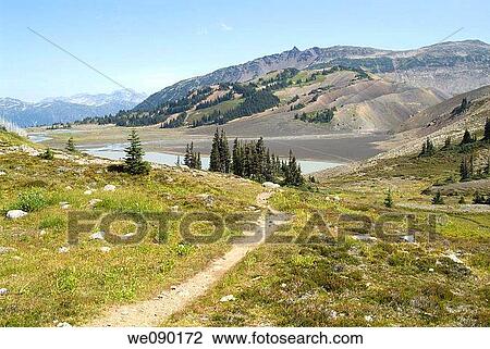 hiking trail in Garibaldi Park, British Columbia, Canada View Large Photo Image Stock Image - hiking trail in Garibaldi Park, British Columbia, Canada. Fotosearch