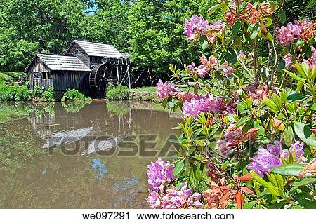 Historic Mabry Mill is a beautiful working watermill located in Floyd County Virginia, on the Blue Ridge Parkway View Large Photo Image Stock Image - Historic Mabry Mill is a beautiful working watermill located in Floyd County Virginia, on the Blue Ridge Parkway. Fotosearch