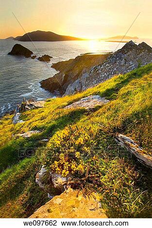 Stock Image - irish west coast with islands. Fotosearch