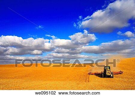 Stock Image - Israel, Negev Desert, combine harvester wheat Harvesting, June 2007. Fotosearch