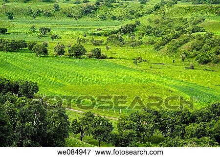 July 2006, the Chinese landscape in China's Inner Mongolia grassland Hillside pasture View Large Photo Image Stock Photo - July 2006, the Chinese landscape in China's Inner Mongolia grassland Hillside pasture. Fotosearch