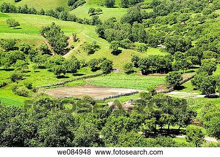 Stock Photo - July 2006, the Chinese landscape in China's Inner Mongolia grassland Hillside pasture. Fotosearch