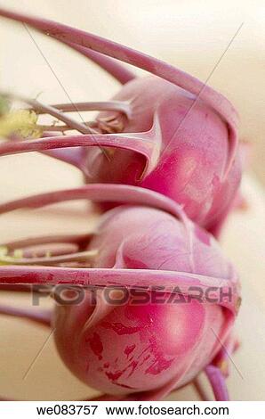 Kohlrabi. Brassica oleracea. View Large Photo Image Stock Photo - Kohlrabi. Brassica oleracea.. Fotosearch