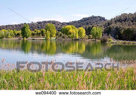 Stock Image - La Colgada lake. Lagunas de Ruidera Nature Reserve, Ciudad Real province, Castilla La Mancha, Spain.. Fotosearch