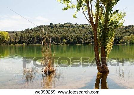 La Colgada lake. Lagunas de Ruidera Nature Reserve, Ciudad Real province, Castilla La Mancha, Spain. View Large Photo Image Stock Photo - La Colgada lake. Lagunas de Ruidera Nature Reserve, Ciudad Real province, Castilla La Mancha, Spain.. Fotosearch
