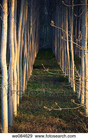 La Rioja, Spain View Large Photo Image Stock Photo - La Rioja, Spain. Fotosearch