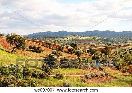 Stock Photo - Landscape. Campo de Calatrava, Ciudad Real province, Castilla La Mancha, Spain.. Fotosearch