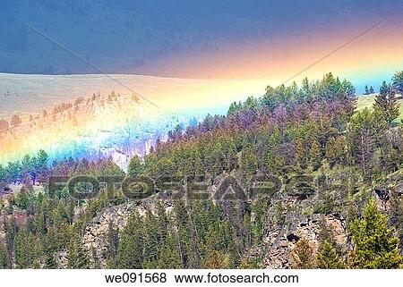 Late afternoon sunlight forms a rainbow above a canyon valley in Yellowstone Park, Wyoming View Large Photo Image Stock Photo - Late afternoon sunlight forms a rainbow above a canyon valley in Yellowstone Park, Wyoming. Fotosearch