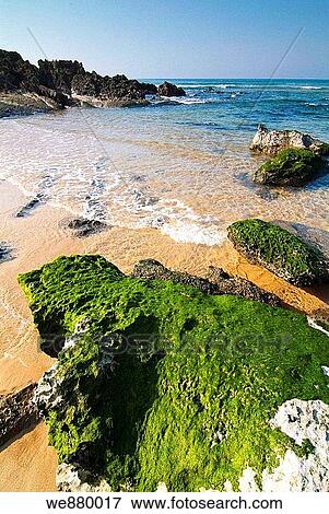 Liencres beach, Cantabria. Spain. View Large Photo Image Stock Photo - Liencres beach, Cantabria. Spain.. Fotosearch