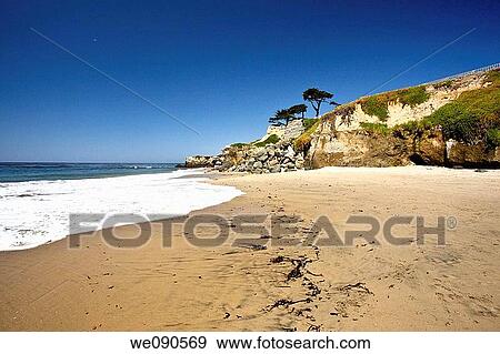 Lighthouse Field State Beach is a protected beach located in California View Large Photo Image Stock Photo - Lighthouse Field State Beach is a protected beach located in California. Fotosearch