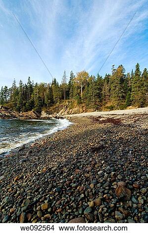 Picture - Little Hunters Beach, Acadia Nat Park, ME. Fotosearch