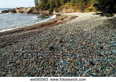 Little Hunters Beach, Acadia Nat Park, ME View Large Photo Image Stock Image - Little Hunters Beach, Acadia Nat Park, ME. Fotosearch