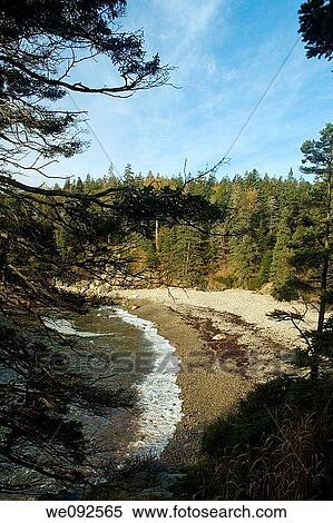 Little Hunters Beach, Acadia Nat Park, ME View Large Photo Image Stock Photography - Little Hunters Beach, Acadia Nat Park, ME. Fotosearch