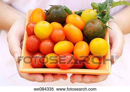 Stock Photography - Little tomatoes. Fotosearch