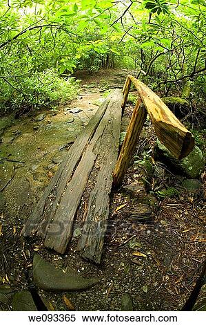 Log Footbridge, Nature Trail Scenics, Great Smoky Mtns Nat Park, TN View Large Photo Image Stock Photography - Log Footbridge, Nature Trail Scenics, Great Smoky Mtns Nat Park, TN. Fotosearch