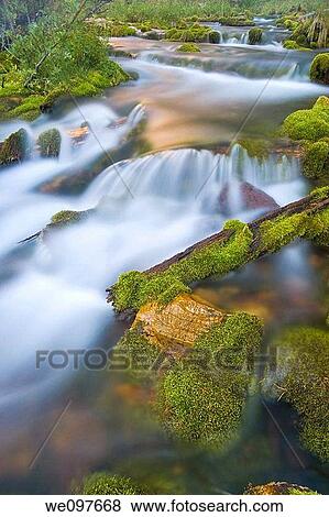 long exposure of natural creek, flowing water View Large Photo Image Stock Photo - long exposure of natural creek, flowing water. Fotosearch