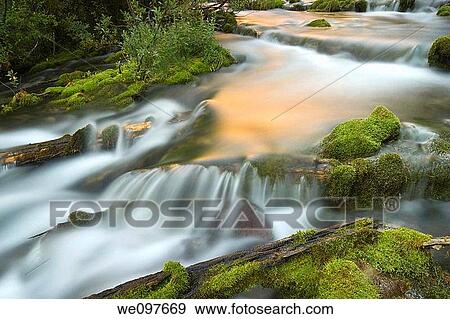 long exposure of natural creek, flowing water View Large Photo Image Stock Photo - long exposure of natural creek, flowing water. Fotosearch