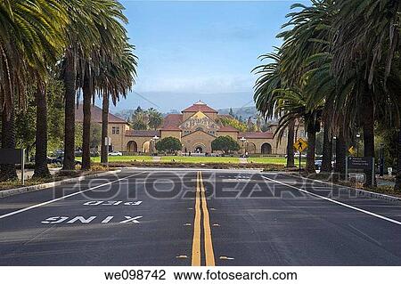 Looking down street lined with palm trees to the dramatic entrance of Standford University, with the Oval, Memorial Church, and the sandstone and Spanish tile roof buildings of the quad View Large Photo Image Stock Image - Looking down street lined with palm trees to the dramatic entrance of Standford University, with the Oval, Memorial Church, and the sandstone and Spanish tile roof buildings of the quad. Fotosearch