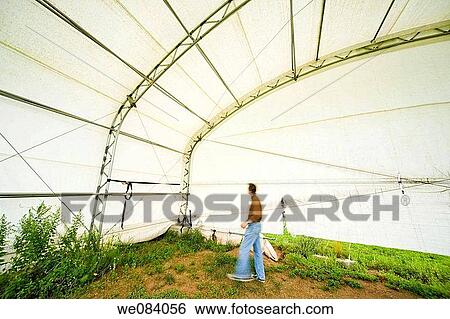Man inside a large tent View Large Photo Image Stock Photograph - Man inside a large tent. Fotosearch