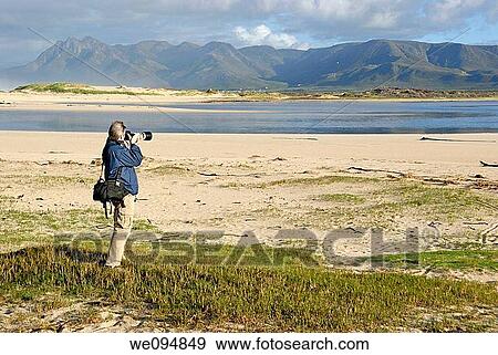 Man taking photograph of a landscape with telephoto in the morning, Flamingo lake estuary near Hermanus, South Western Cape, South Africa View Large Photo Image Stock Photo - Man taking photograph of a landscape with telephoto in the morning, Flamingo lake estuary near Hermanus, South Western Cape, South Africa. Fotosearch