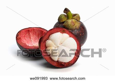 Mangosteen View Large Photo Image Stock Image - Mangosteen. Fotosearch