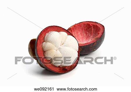 Mangosteen View Large Photo Image Stock Image - Mangosteen. Fotosearch