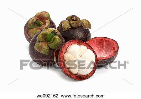 Mangosteen View Large Photo Image Stock Image - Mangosteen. Fotosearch
