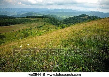 Max Patch, Appalachian Trail, Pisgah Nat Forest, NC View Large Photo Image Stock Photography - Max Patch, Appalachian Trail, Pisgah Nat Forest, NC. Fotosearch