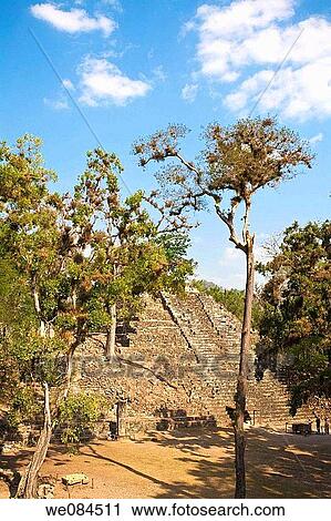 Mayan ruins of Copan, Honduras View Large Photo Image Stock Image - Mayan ruins of Copan, Honduras. Fotosearch