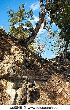 Mayan ruins of Copan, Honduras View Large Photo Image Stock Image - Mayan ruins of Copan, Honduras. Fotosearch