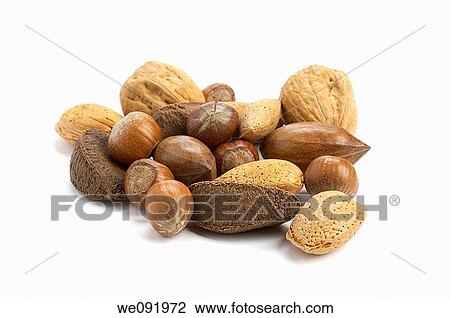 Mixed nuts - walnuts, brazils, almonds pecan and hazelnuts View Large Photo Image Stock Image - Mixed nuts - walnuts, brazils, almonds pecan and hazelnuts. Fotosearch