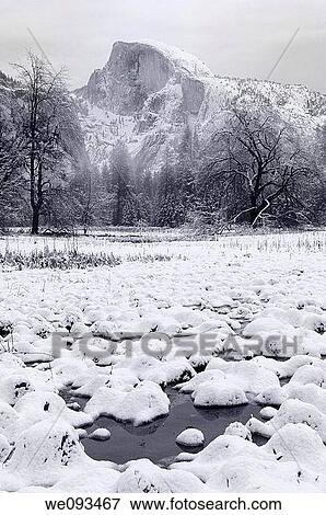 Monochrome of Half Dome from snow covered Cooks Meadow marsh View Large Photo Image Stock Photo - Monochrome of Half Dome from snow covered Cooks Meadow marsh. Fotosearch