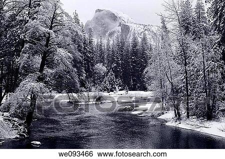 Monochrome of Half Dome with snow covered trees along the Merced River in Yosemite Valley View Large Photo Image Stock Photograph - Monochrome of Half Dome with snow covered trees along the Merced River in Yosemite Valley. Fotosearch