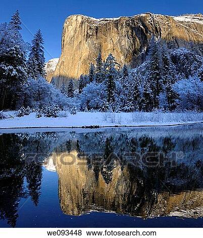 Morning light on El Capitan in winter reflected in the Merced River with snow covered trees in Yosemite Valley View Large Photo Image Stock Photo - Morning light on El Capitan in winter reflected in the Merced River with snow covered trees in Yosemite Valley. Fotosearch