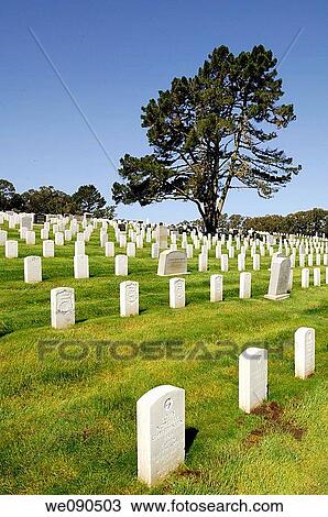 National Cemetery View Large Photo Image Stock Image - National Cemetery. Fotosearch