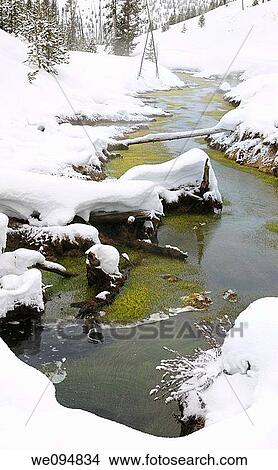 Obsidian Creek with green cyanobacterial mats heated geothermally in winter in Yellowstone Wyoming View Large Photo Image Picture - Obsidian Creek with green cyanobacterial mats heated geothermally in winter in Yellowstone Wyoming. Fotosearch
