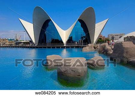 Oceanografic (aquarium), City of Arts and Sciences by S. Calatrava, Valencia. Comunidad Valenciana, Spain View Large Photo Image Stock Photography - Oceanografic (aquarium), City of Arts and Sciences by S. Calatrava, Valencia. Comunidad Valenciana, Spain. Fotosearch