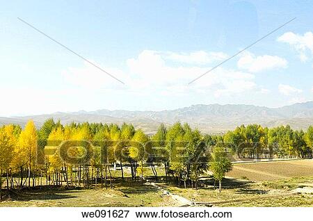 Stock Photo - Oct 2009, China's Gansu Province Autumn in Western China. Fotosearch