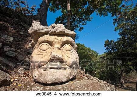 Old man's head, Mayan ruins of Copan, Honduras View Large Photo Image Picture - Old man's head, Mayan ruins of Copan, Honduras. Fotosearch